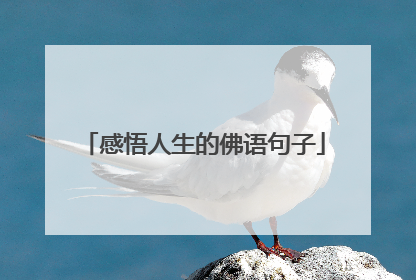 感悟人生的佛语句子