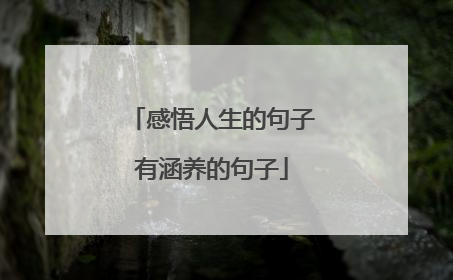 感悟人生的句子有涵养的句子