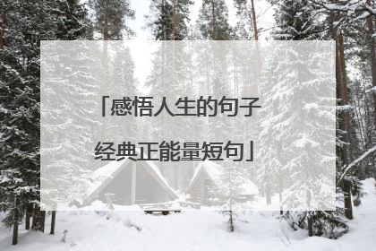 感悟人生的句子 经典正能量短句