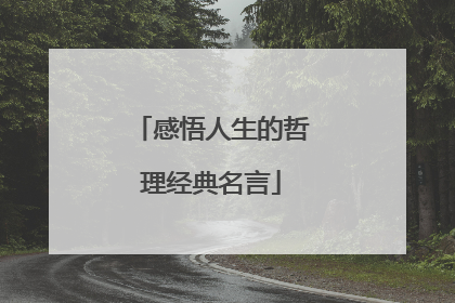 感悟人生的哲理经典名言