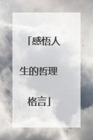 感悟人生的哲理格言