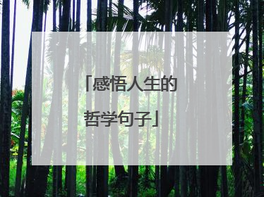 感悟人生的哲学句子