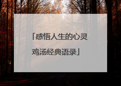 感悟人生的心灵鸡汤经典语录