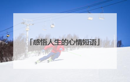 感悟人生的心情短语