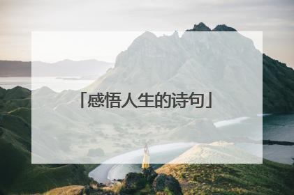 感悟人生的诗句