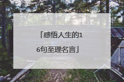 感悟人生的16句至理名言