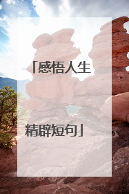 感悟人生精辟短句