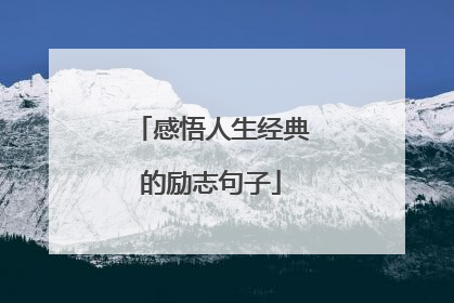 感悟人生经典的励志句子