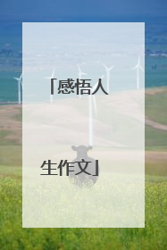 感悟人生作文