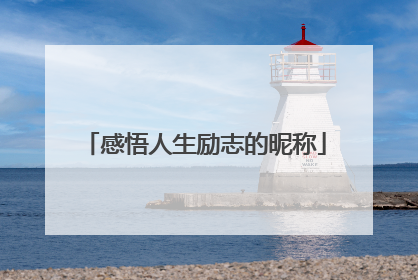 感悟人生励志的昵称