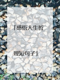 感悟人生哲理短句子