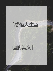 感悟人生哲理的美文