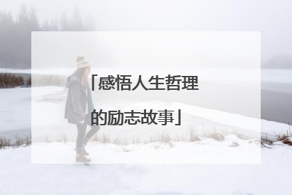 感悟人生哲理的励志故事