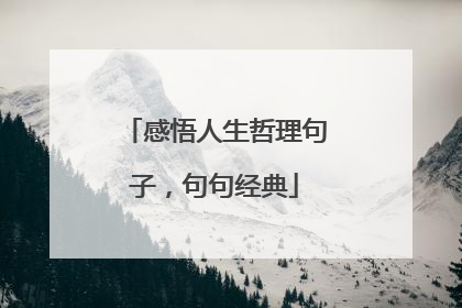 感悟人生哲理句子，句句经典