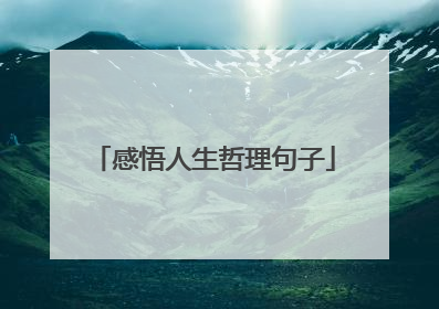 感悟人生哲理句子
