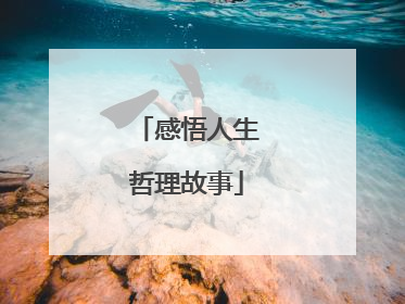 感悟人生哲理故事