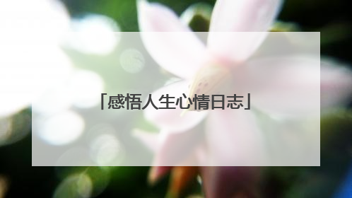 感悟人生心情日志