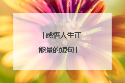感悟人生正能量的短句