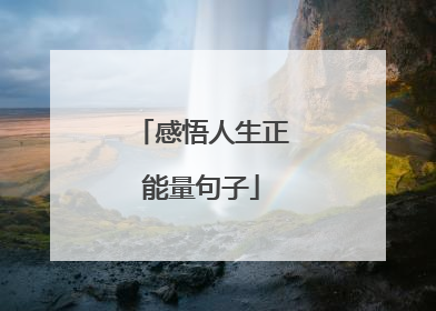 感悟人生正能量句子