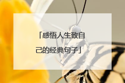 感悟人生致自己的经典句子