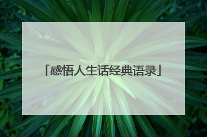 感悟人生话经典语录