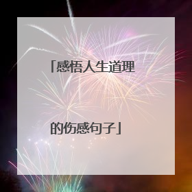 感悟人生道理的伤感句子