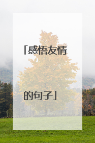 感悟友情的句子