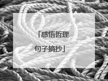 感悟哲理句子摘抄