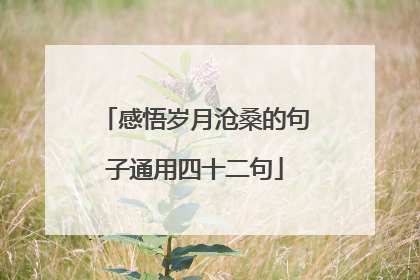 感悟岁月沧桑的句子通用四十二句