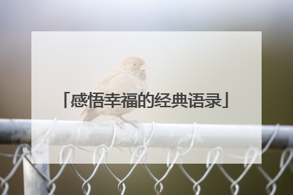感悟幸福的经典语录