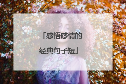 感悟感情的经典句子短