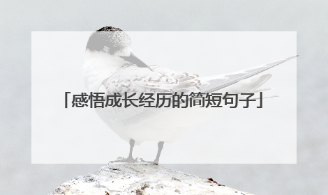 感悟成长经历的简短句子