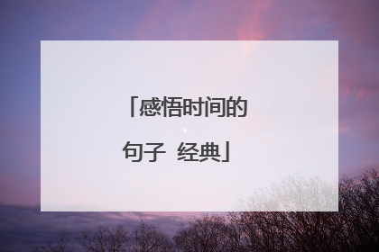 感悟时间的句子 经典