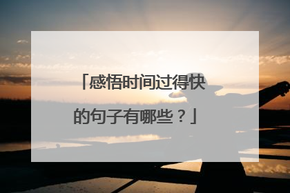 感悟时间过得快的句子有哪些?