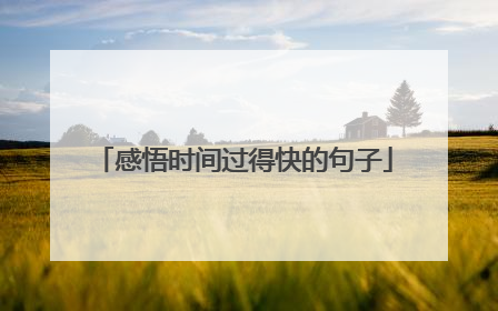 感悟时间过得快的句子