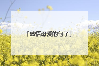 感悟母爱的句子