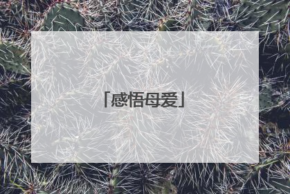 感悟母爱