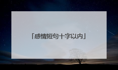 感情短句十字以内