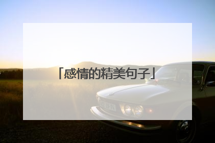 感情的精美句子