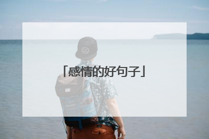 感情的好句子