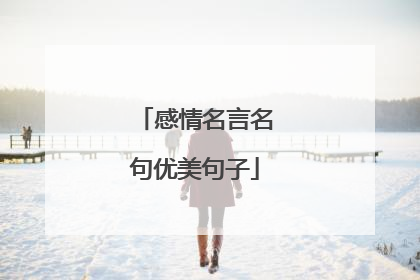 感情名言名句优美句子