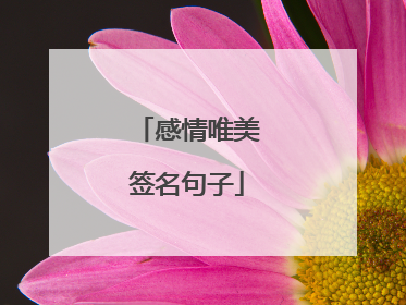 感情唯美签名句子