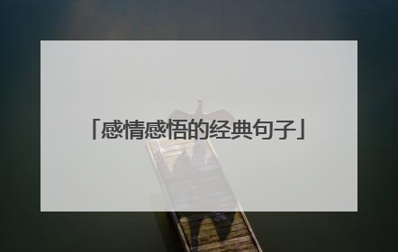 感情感悟的经典句子