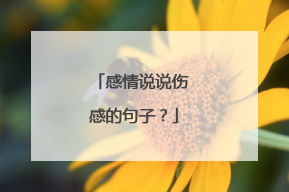 感情说说伤感的句子?
