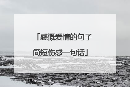 感慨爱情的句子简短伤感一句话