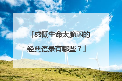 感慨生命太脆弱的经典语录有哪些?