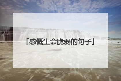 感慨生命脆弱的句子