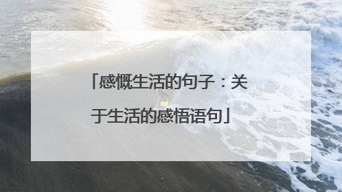 感慨生活的句子:关于生活的感悟语句