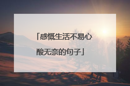 感慨生活不易心酸无奈的句子