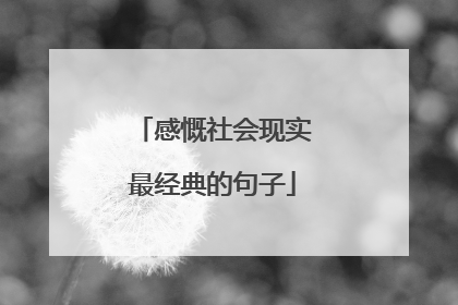 感慨社会现实最经典的句子